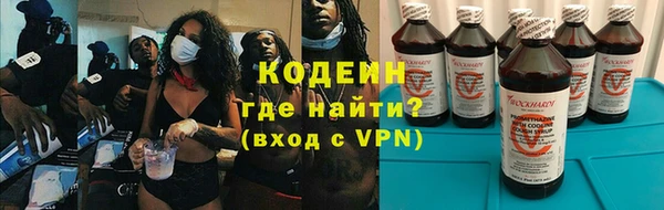 прущие грибы Надым
