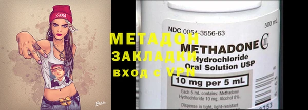 прущие грибы Надым